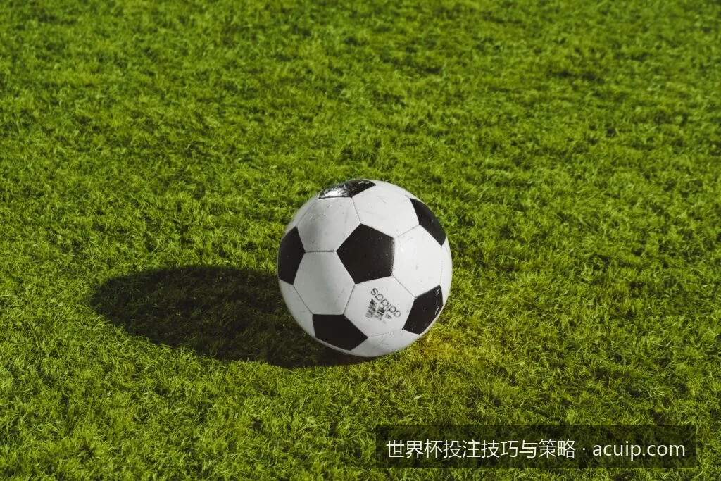 2026世界杯投注技巧与策略：从新手到高手的进阶指南